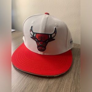 Chicago Bulls Hat BMO Local Artist Series